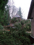 Klein Immenkamp helpt bij stormschade